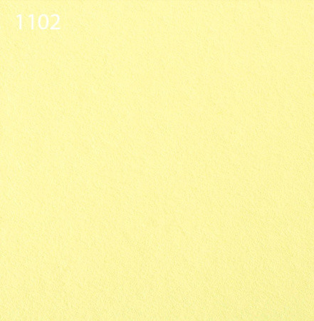 Паспарту 1102