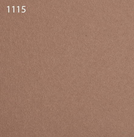 Паспарту 1115
