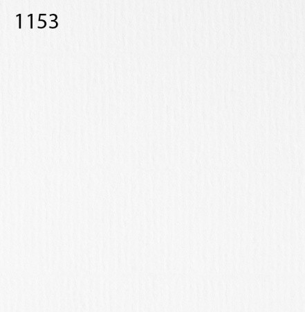 Паспарту 1153