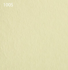 Паспарту 1005 , 81х112 см