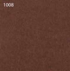 Паспарту 1008