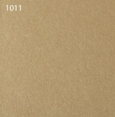 Паспарту 1011