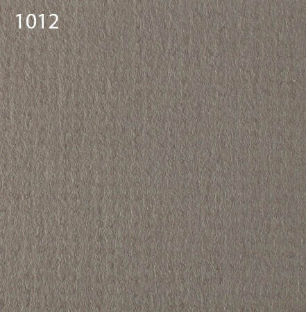 Паспарту 1012