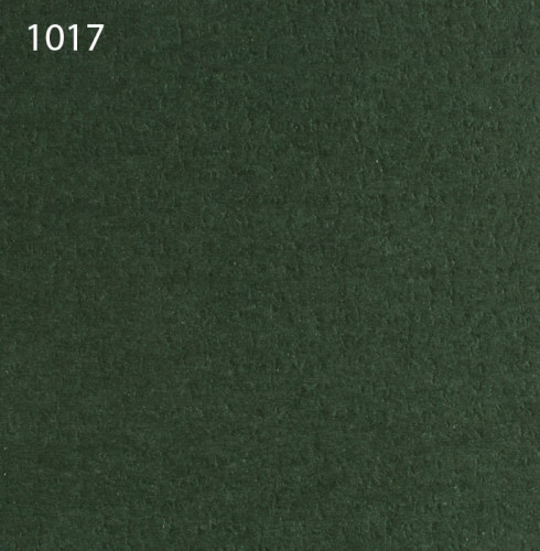 Паспарту 1017