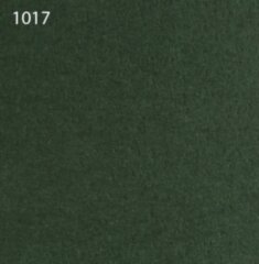 Паспарту 1017