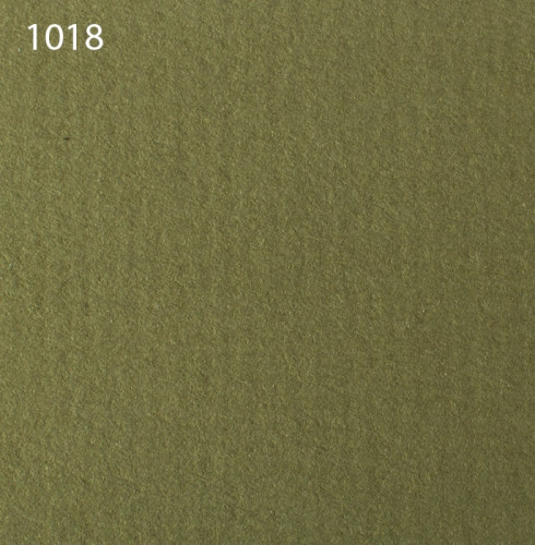 Паспарту 1018