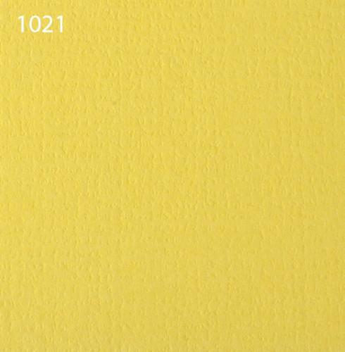 Паспарту 1021