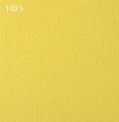 Паспарту 1021
