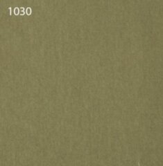 Паспарту 1030