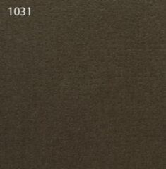Паспарту 1031