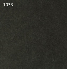Паспарту 1033