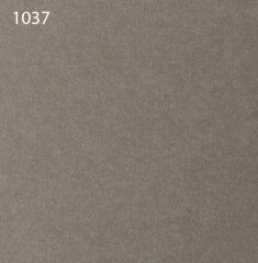 Паспарту 1037