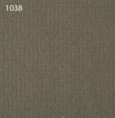 Паспарту 1038