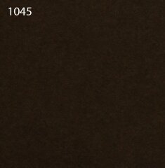 Паспарту 1045