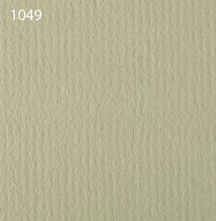 Паспарту 1049